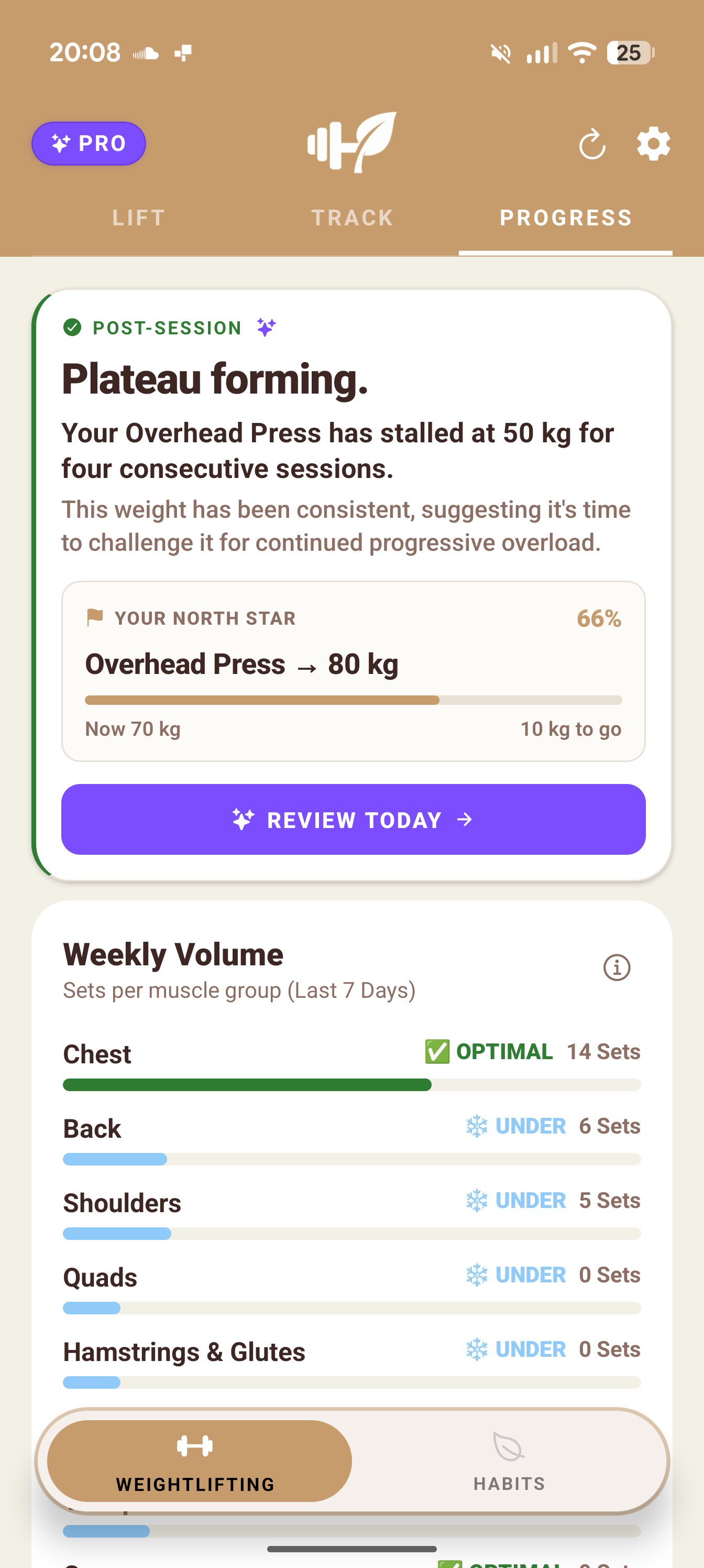 Progress screen with North Star strength target